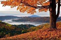 Best fall destinations to hammock camp in each of the 50 states