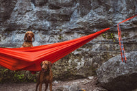 5 Hidden Gems on Austin’s Barton Creek Greenbelt