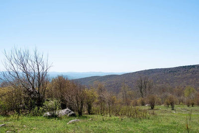 Is This the Most Scenic Section of the Appalachian Trail?