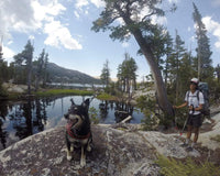 Shylie's Last Hurrah: Backpacking in the Desolation Wilderness for an Old Dog
