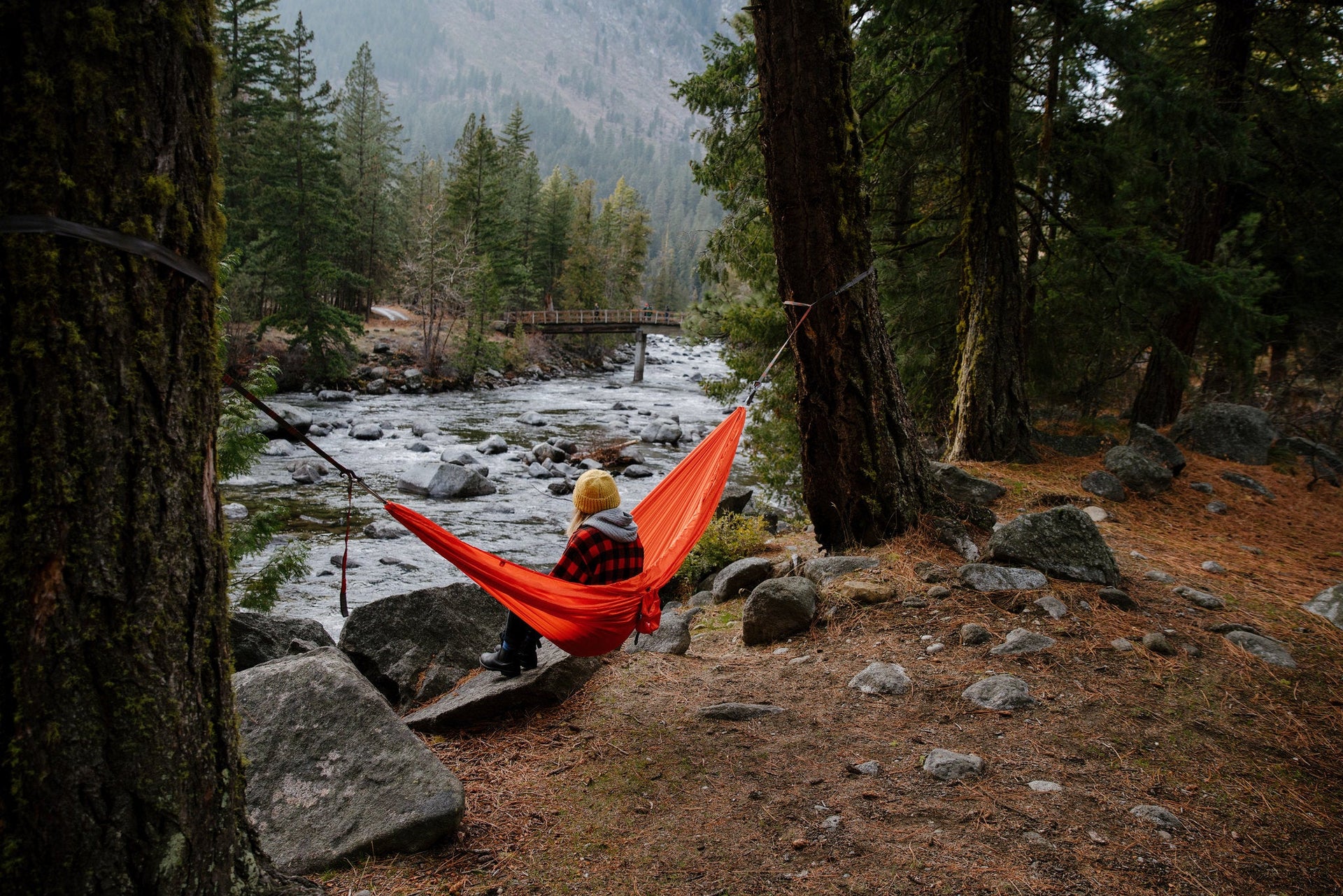 Woman sitting in a hammock suspended between two trees overlooking a stream in the forest.