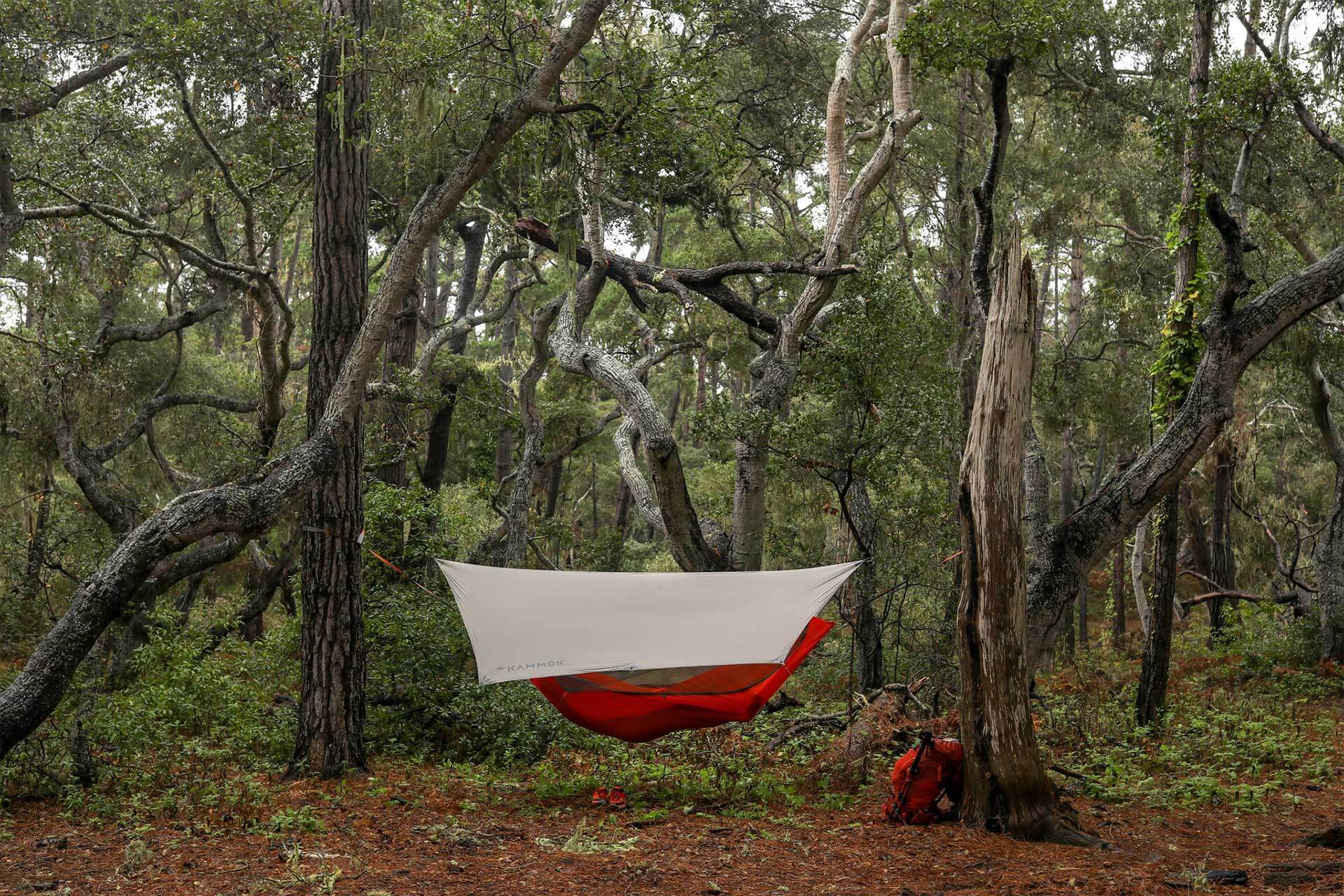 A red Kuhli Hammock Tent suspended between two trees with a backpack sitting against a tree.