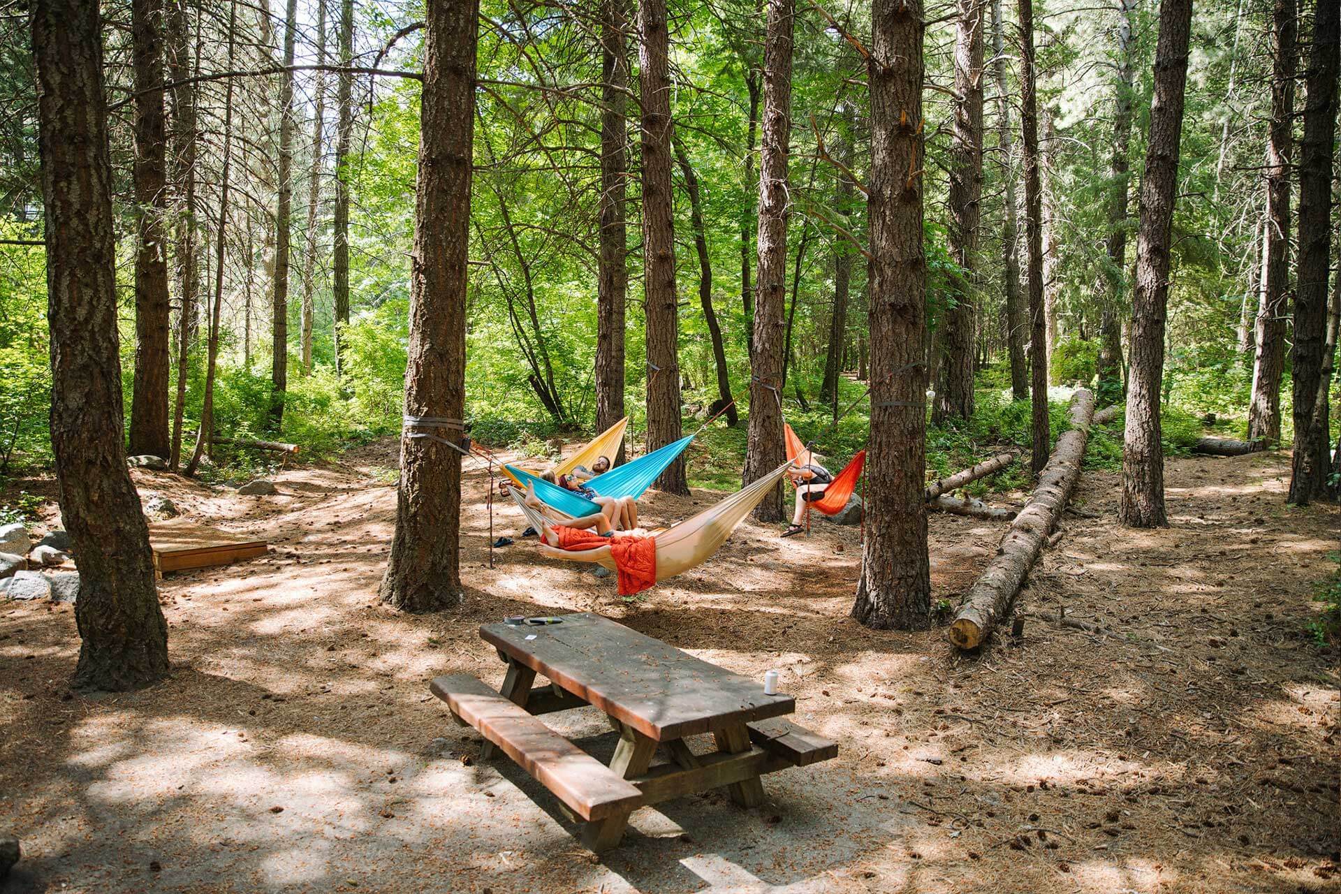 Hammocks hanging in the trees in a campground with an empty picnic table in front.