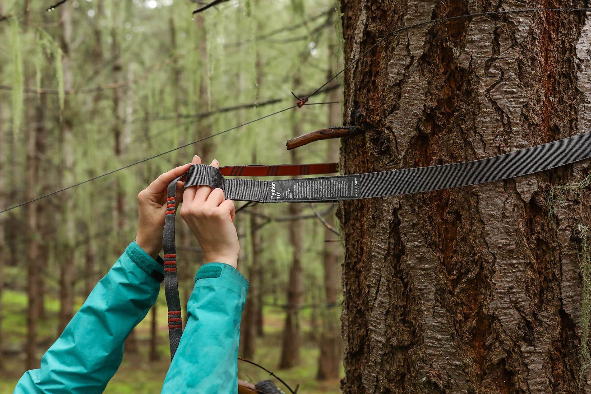 A woman's hands securing Kammok Python Hammock Straps around a large tree.